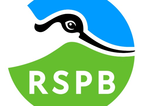 Royal Society for the Protection of Birds (RSPB)