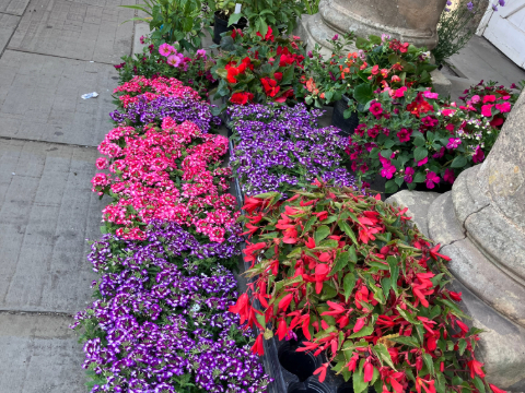 The Gobbett Nursery
