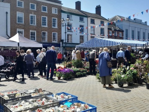 Festival Market